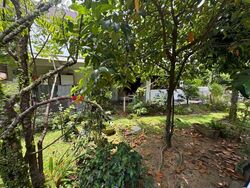 Hillview Estate (D23), Detached #566452371